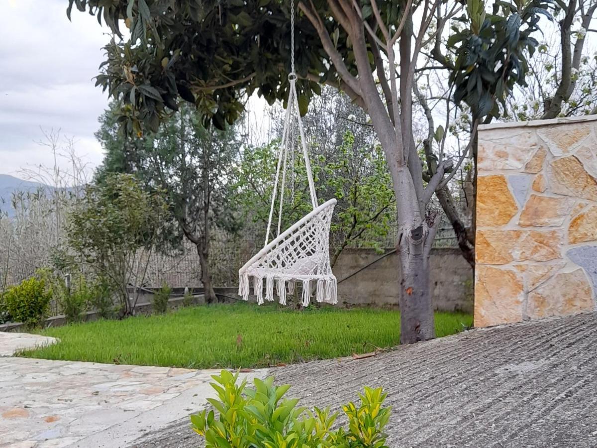 Perondi Berat Apartment Kucove Bagian luar foto